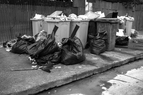 A professional junk removal team handling household waste