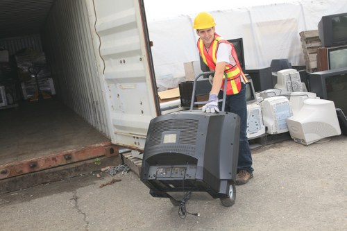 Various types of garden waste sorted for recycling